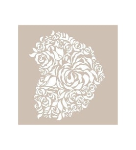A4 SERİSİ STENCIL AS484 21X29