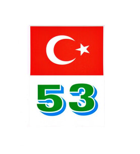 Türkiye Bayraklı Rize 53 Plaka Kodu Ön Cam Sticker