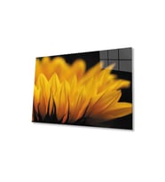 Ay Çiçeği Günebakan 4mm Dayanıklı Cam Tablo Temperli Cam , Sunflower Glass Wall Art (Çok Renkli)