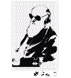 Darwin Puzzle 240 Parça Yapboz