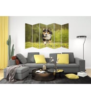KÖPEK MDF TABLO-2641 MODEL-B