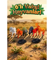 6 Parça Vahşi Hayvanlar Alemi Figür Seti - Eğitici Safari Oyuncak Paketi