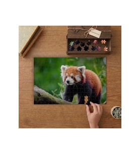 Yavru Kızıl Panda Tasarımı 240 parça Ahşap Puzzle Ahşap Kutuda MP04565