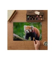 Yavru Kızıl Panda Tasarımı 240 parça Ahşap Puzzle Ahşap Kutuda MP04565