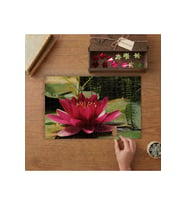 Kırmızı Nlüfer Çiçeği Tasarımı 240 parça Ahşap Puzzle Ahşap Kutuda MP05418