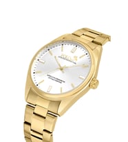 Polo Air Klasik Metal Kordon Erkek Kol Saati Gold Gümüş Renk PL-7087E6x