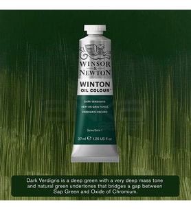 Winsor & Newton Winton Yağlı Boya 37ml 405 Dark Verdigris