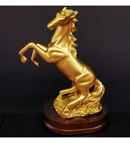 Şaha Kalkan Gold Renk At Biblosu