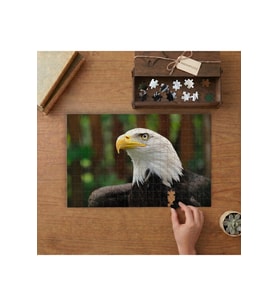 Kartal - Eagle Tasarımı 240 parça Ahşap Puzzle Ahşap Kutuda MP04021