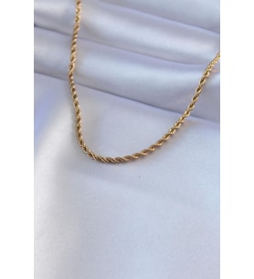 Çelik Gold Renk Burgu Model 45 cm Kadın Kolye