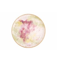 Porland Cosmos Desen2 Düz Tabak 24 cm 04ALM006665