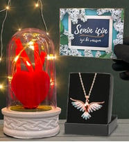 Led Işıklı Fanus ve Renkli Zümrüdü Anka Kuşu Kolye Hediye Seti (Model 3)