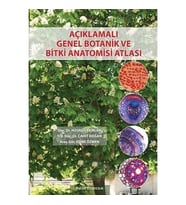 Açıklamalı Genel Botanik Ve Bitki Anatomisi Atlası (Krem)