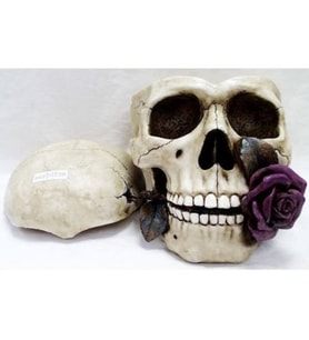 WISE Veronese İskelet Serisi-WISE KURUKAFA KULLUK-15*23*13 CM.