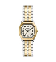 Fossil FES5362 Kadın Kol Saati