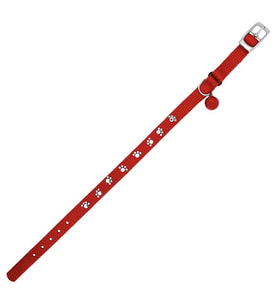 Royalist PC-11 Pati Baskılı Kedi-Köpek Tasması 10mm*30cm Kırmızı