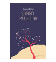 Şairsel Mevzular