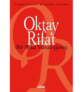 Bir Aşka Vuran