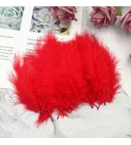 100 ADET KIRMIZI KUŞ TÜYÜ DECOR VIP RED BIRD FEATHER KIRMIZI ŞEFFAF BALON TÜYÜ KIRMIZI SÜSLEME TÜYÜ