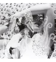 Bjork Vespertine Double LP Plak