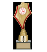ODAK KUPA - Genel Kupalar - GN-195 B - 32 cm