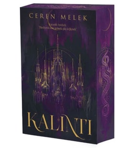 Kalıntı