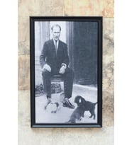 Baş Hayvansever Özel Tasarım MetaFrame Tablo