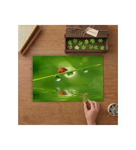 Yeşil Bitkinin Üstünde Yürüyen Uğurböceği Tasarımı 240 parça Ahşap Puzzle Ahşap Kutuda MP00584