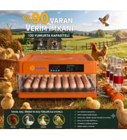 Tam Otomatik Kuluçka Makinesi 130 Yumurta Kapasiteli Akıllı Isı Ve Nem Kontrolü Otomatik Yumurta