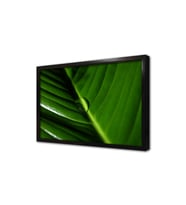 Makro Çekim Yaprak Çerçeveli Mdf Tablo