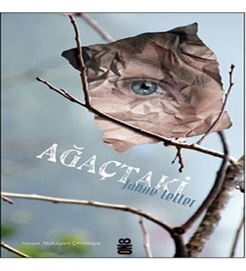 Ağaçtaki