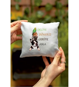 Deliye Döneriz Geriye Asla Tasarımlı Dekoratif Mini Yastık
