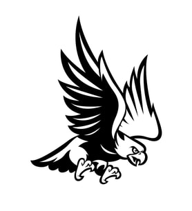 Kartal Sticker17x17 Cm Siyah