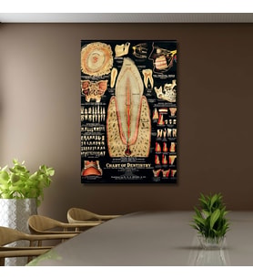 Tekli Dikey Kanvas Diş Poliklinik Tablosu Diş Yapısı Poster
