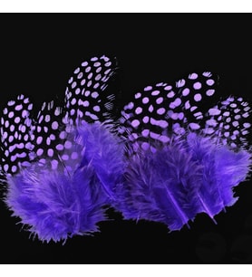 50 ADET PUANTİYELİ MOR SİYAH KUŞ TÜYÜ MOR KUŞ TÜYÜ DECOR PURPLE BIRD FEATHER MOR ŞEFFAF BALON TÜYÜ