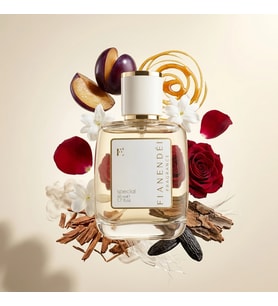 FIANENDÉI PARFUMS W-E2 SPECIAL KADIN PARFUM 50 ML