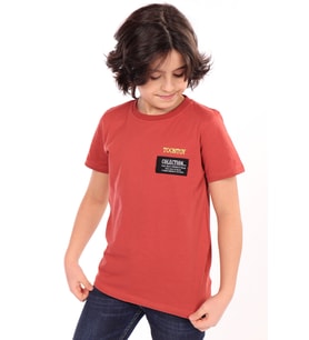 Toontoy Erkek Çocuk Göğsü Arma Detaylı Tişört (Kiremit)