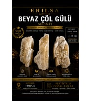 Sertifikalı Beyaz Çöl Gülü Selenit Taşı Kütle 8-10 cm Dev Boy Doğal Damarlı Ham Kristal