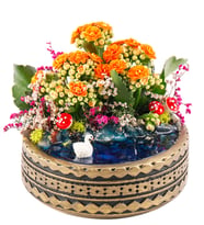 Ring Serisi Göl Kenarında Kalanchoe Teraryum