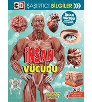 3D Şaşırtıcı Bilgiler - İnsan Vücudu