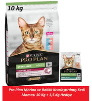 Pro Plan Morina ve Balıklı Kısırlaştırılmış Kedi Maması 10 Kg + 1,5 Kg Hediye