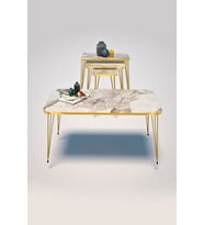 Zigon Sehpa Kr Ve Orta Sehpa Kr Set Gold Efes Tel 1106