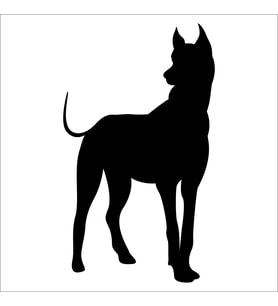 KÖPEK FOLYO STİCKER DERSTV885 100cm Uzunluk (Karışık)