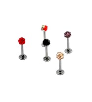 Renkli Taşlı Çelik 5 Adet Kaş Tragus Piercing