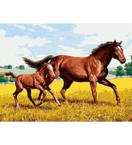 Özgürlüğe Doğru Sayılarla Boyama Seti(40x50 cm Tuval Şasesine Gerili)