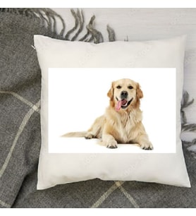 Doğum Günü Hediyesi  Köpek Dostu Hediyesi Fotoğraf Baskılı İpeksi Kadife Yastık