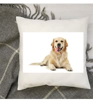 Doğum Günü Hediyesi  Köpek Dostu Hediyesi Fotoğraf Baskılı İpeksi Kadife Yastık