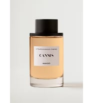 MANGO Cannes EDT 100 ml erkek parfümü