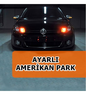 Ayarlı Amerikan Park Sinyal Modülü Otomatik Sistem Park Modülü
