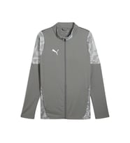 Puma Teamcup Training Jacket Erkek Futbol Antrenman Ceketi 65916513 Gri